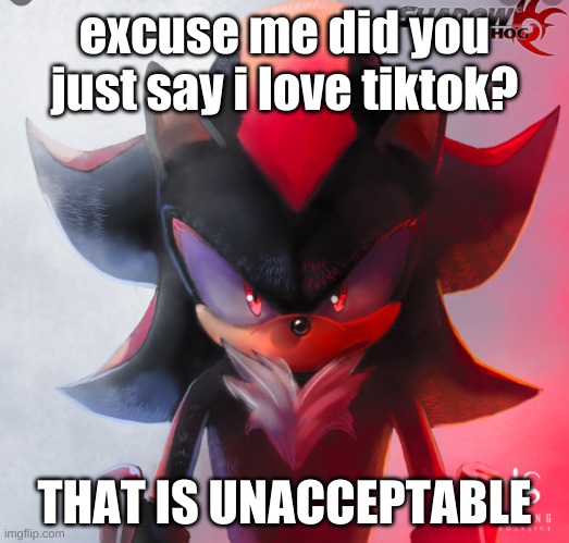 ur goin down | excuse me did you just say i love tiktok? THAT IS UNACCEPTABLE | image tagged in excuse me | made w/ Imgflip meme maker