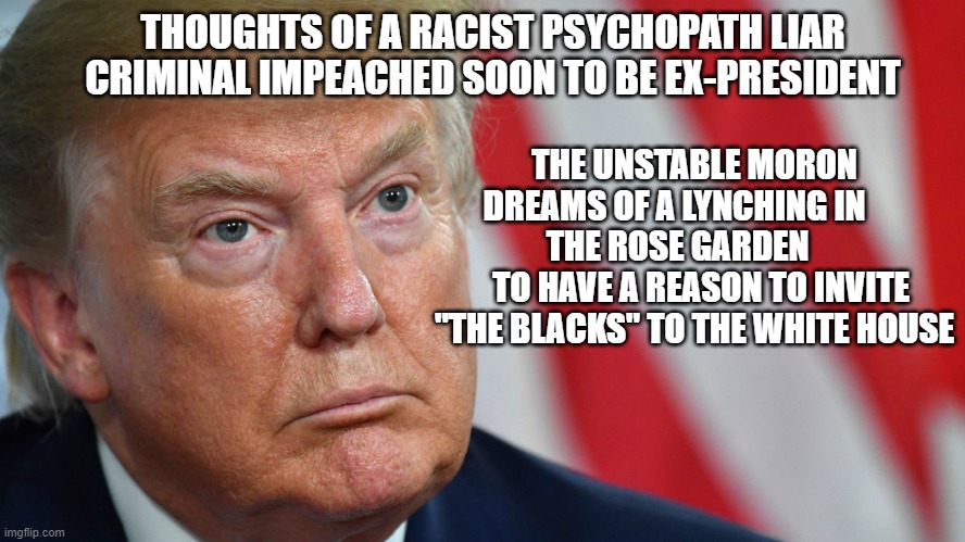 Fight For the Liberty of America From This Despicable Man | THOUGHTS OF A RACIST PSYCHOPATH LIAR CRIMINAL IMPEACHED SOON TO BE EX-PRESIDENT; THE UNSTABLE MORON DREAMS OF A LYNCHING IN          THE ROSE GARDEN           TO HAVE A REASON TO INVITE "THE BLACKS" TO THE WHITE HOUSE | image tagged in traitor,criminal,corrupt,liar,impeached,psychopath | made w/ Imgflip meme maker