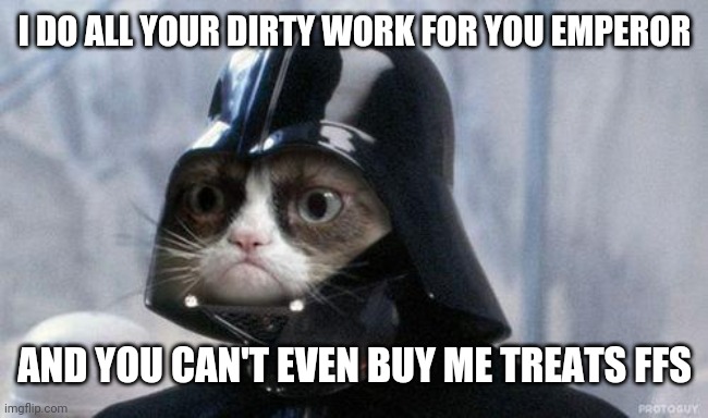 Grumpy Cat Star Wars | I DO ALL YOUR DIRTY WORK FOR YOU EMPEROR; AND YOU CAN'T EVEN BUY ME TREATS FFS | image tagged in memes,grumpy cat star wars,grumpy cat | made w/ Imgflip meme maker