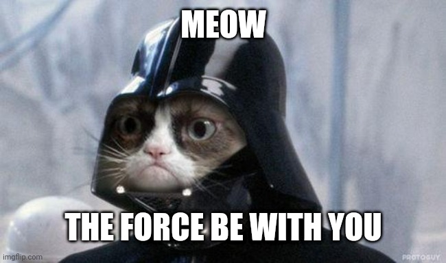 Grumpy Cat Star Wars | MEOW; THE FORCE BE WITH YOU | image tagged in memes,grumpy cat star wars,grumpy cat | made w/ Imgflip meme maker