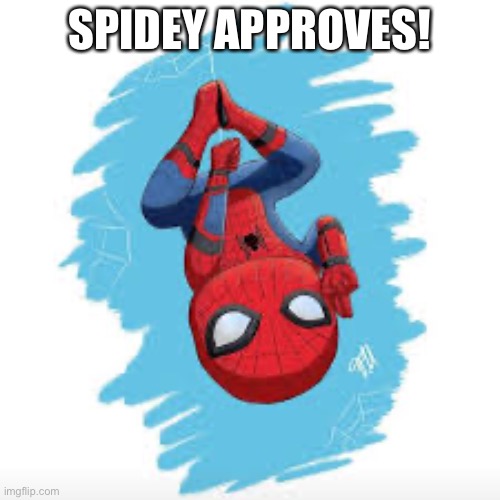 SPIDEY APPROVES! | made w/ Imgflip meme maker