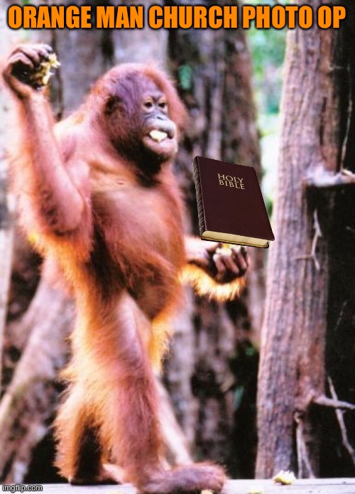 ORANGE MAN CHURCH PHOTO OP | image tagged in donald trump is an orangutan | made w/ Imgflip meme maker