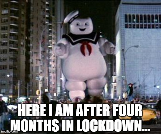 Four Months in Lockdown | HERE I AM AFTER FOUR MONTHS IN LOCKDOWN... | image tagged in weight gain,lockdown | made w/ Imgflip meme maker