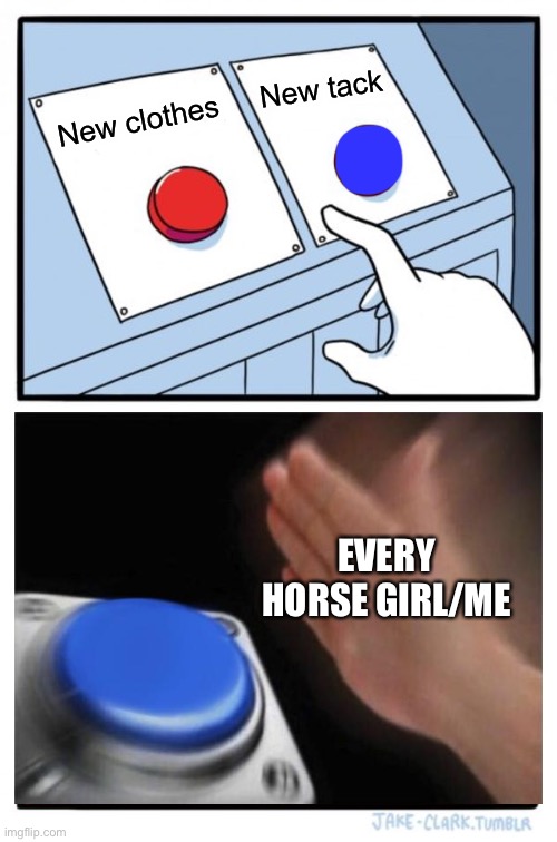 Two Buttons |  New tack; New clothes; EVERY HORSE GIRL/ME | image tagged in memes,two buttons | made w/ Imgflip meme maker