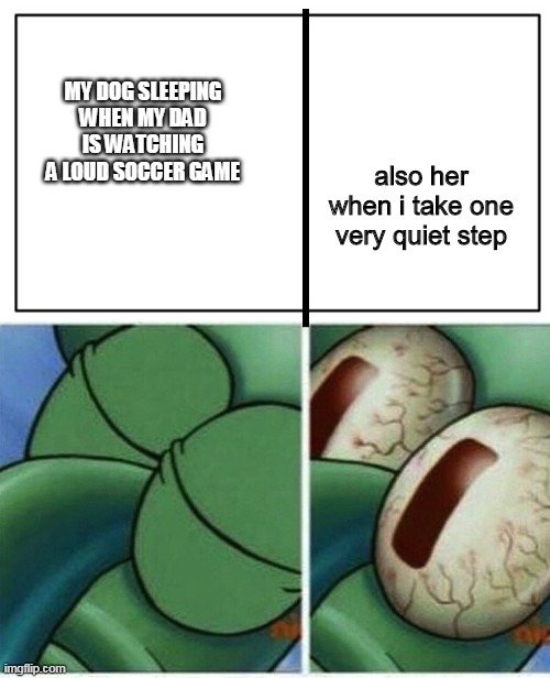 MY DOG SLEEPING WHEN MY DAD IS WATCHING A LOUD SOCCER GAME; also her when i take one very quiet step | image tagged in squidward | made w/ Imgflip meme maker