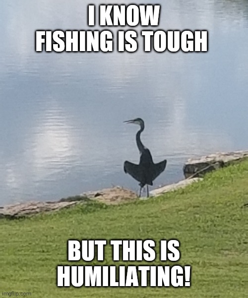Fishing | I KNOW FISHING IS TOUGH; BUT THIS IS HUMILIATING! | image tagged in humor | made w/ Imgflip meme maker