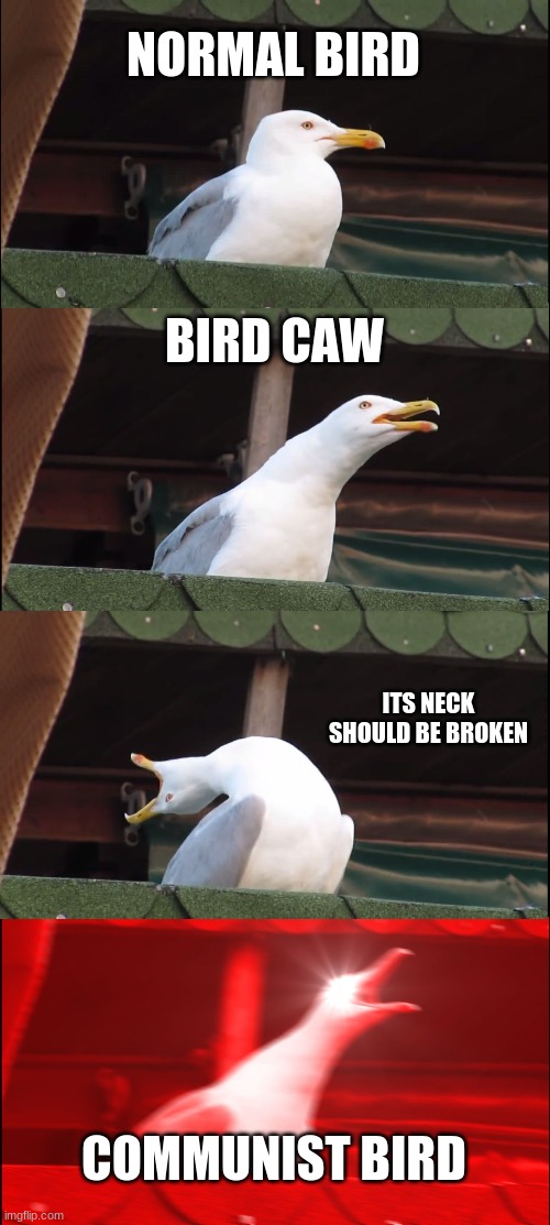 Seagull for you? | NORMAL BIRD; BIRD CAW; ITS NECK SHOULD BE BROKEN; COMMUNIST BIRD | image tagged in memes,inhaling seagull | made w/ Imgflip meme maker