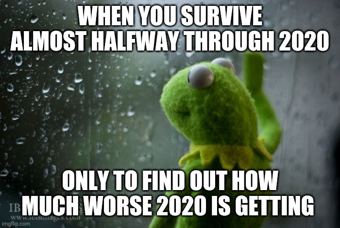 kermit window | WHEN YOU SURVIVE ALMOST HALFWAY THROUGH 2020; ONLY TO FIND OUT HOW MUCH WORSE 2020 IS GETTING | image tagged in kermit window,memes,2020,dank memes | made w/ Imgflip meme maker