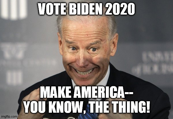 Stupid Joe Biden | VOTE BIDEN 2020; MAKE AMERICA--
YOU KNOW, THE THING! | image tagged in stupid joe biden | made w/ Imgflip meme maker