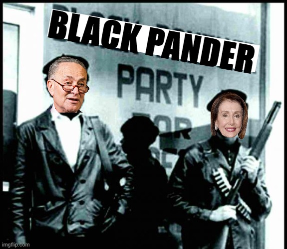 THE BLACK PANDERERS. | BLACK PANDER | image tagged in the black panthers,nancy pelosi black pandering,schmuck tumor,nazi pelosi | made w/ Imgflip meme maker