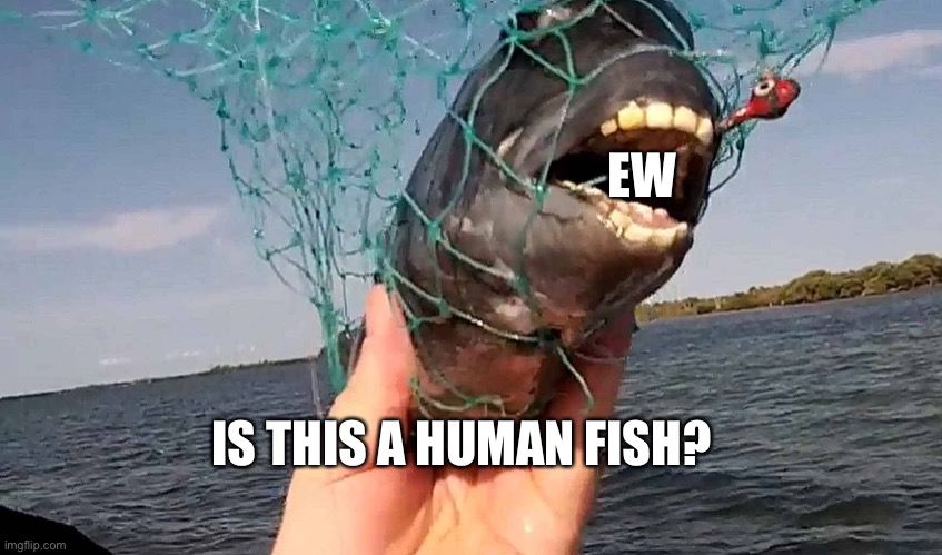 Freaky Fish | EW; IS THIS A HUMAN FISH? | image tagged in freaky fish | made w/ Imgflip meme maker
