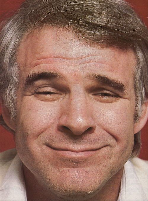 The Steve Martin Face Blank Meme Template