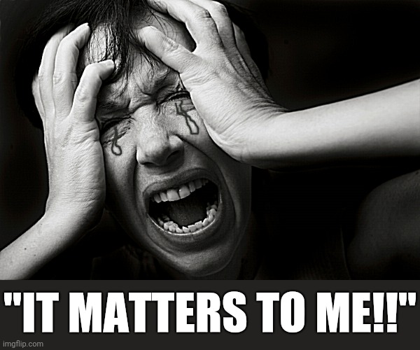 Frantic | "IT MATTERS TO ME!!" | image tagged in frantic | made w/ Imgflip meme maker