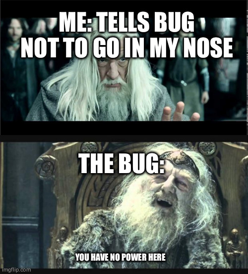 You have no power here | ME: TELLS BUG NOT TO GO IN MY NOSE; THE BUG:; YOU HAVE NO POWER HERE | image tagged in you have no power here | made w/ Imgflip meme maker