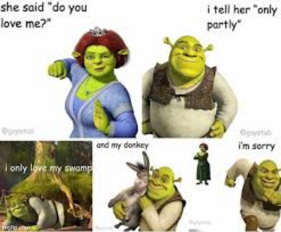 (No Title) | image tagged in shrek | made w/ Imgflip meme maker