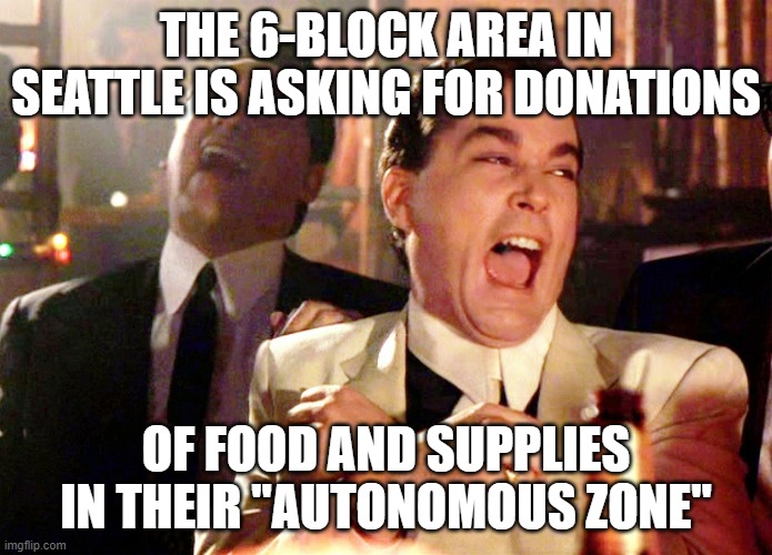 Good Fellas Hilarious | THE 6-BLOCK AREA IN SEATTLE IS ASKING FOR DONATIONS; OF FOOD AND SUPPLIES IN THEIR "AUTONOMOUS ZONE" | image tagged in memes,good fellas hilarious | made w/ Imgflip meme maker