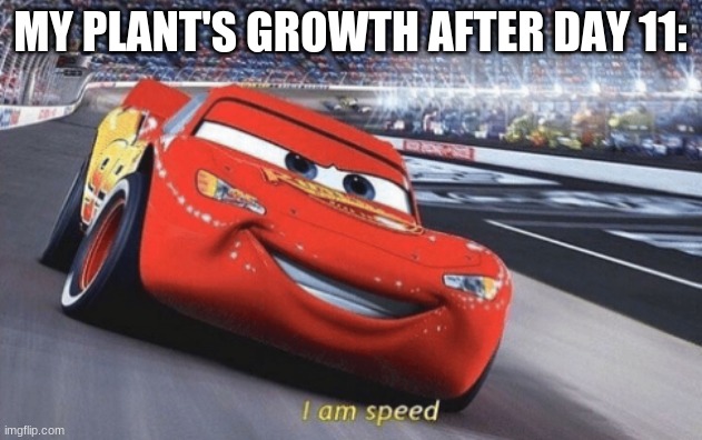 I am speed |  MY PLANT'S GROWTH AFTER DAY 11: | image tagged in i am speed | made w/ Imgflip meme maker