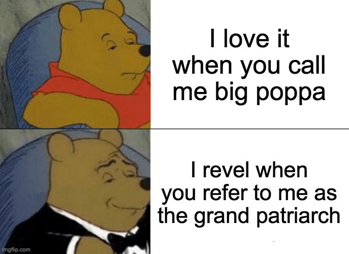 Big Poohpa | I love it when you call me big poppa; I revel when you refer to me as the grand patriarch | image tagged in memes,tuxedo winnie the pooh | made w/ Imgflip meme maker