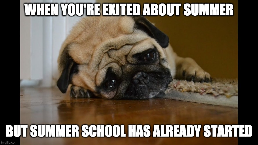 When you’re happy about school ending but summer school is near. | WHEN YOU'RE EXITED ABOUT SUMMER; BUT SUMMER SCHOOL HAS ALREADY STARTED | image tagged in when youre happy about school ending but summer school is near | made w/ Imgflip meme maker