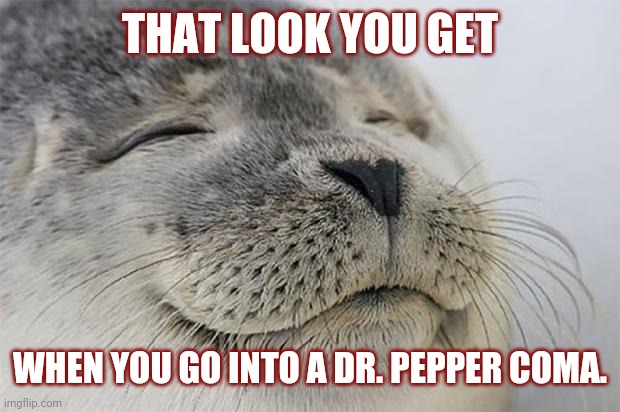 Satisfied Seal Meme | THAT LOOK YOU GET; WHEN YOU GO INTO A DR. PEPPER COMA. | image tagged in memes,satisfied seal | made w/ Imgflip meme maker