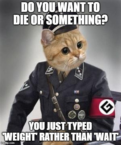 Grammar Nazi Cat | DO YOU WANT TO DIE OR SOMETHING? YOU JUST TYPED 'WEIGHT' RATHER THAN 'WAIT' | image tagged in grammar nazi cat,funny cats,nazis,cats,funny cat memes,cat meme | made w/ Imgflip meme maker