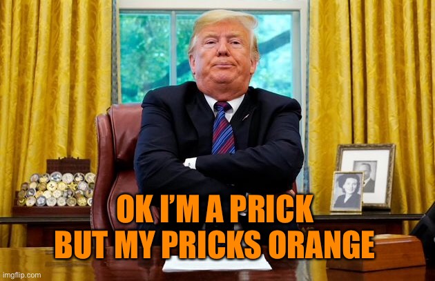 OK I’M A PRICK 
BUT MY PRICKS ORANGE | made w/ Imgflip meme maker