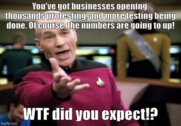 Picard Wtf | You've got businesses opening, thousands protesting, and more testing being done. Of course, the numbers are going to up! WTF did you expect!? | image tagged in memes,picard wtf | made w/ Imgflip meme maker