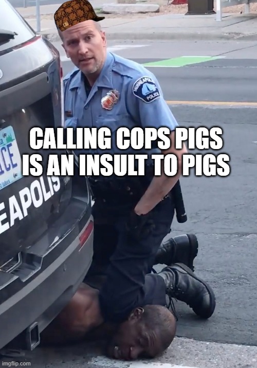 CALLING COPS PIGS IS AN INSULT TO PIGS | CALLING COPS PIGS IS AN INSULT TO PIGS | image tagged in derek chauvinist pig | made w/ Imgflip meme maker