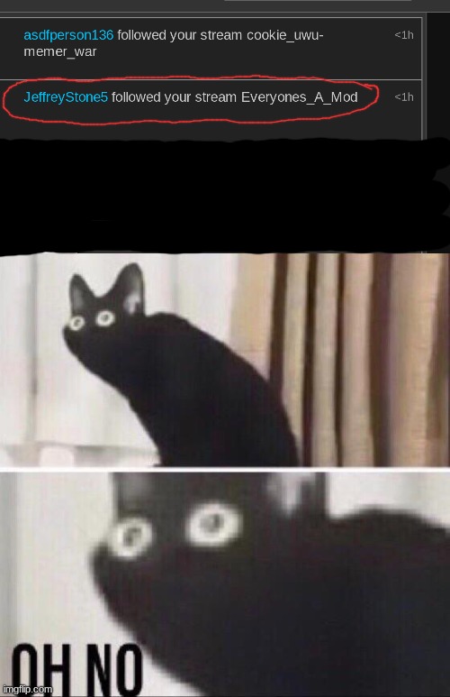 OH HAIL NO | image tagged in oh no cat | made w/ Imgflip meme maker