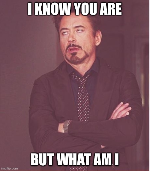 Face You Make Robert Downey Jr Meme | I KNOW YOU ARE BUT WHAT AM I | image tagged in memes,face you make robert downey jr | made w/ Imgflip meme maker