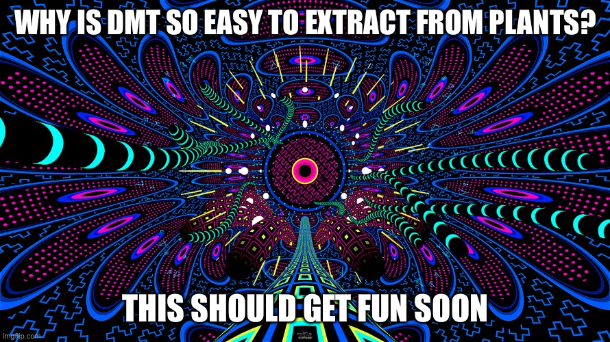 It’s not even a meme tho it’s just faxs |  WHY IS DMT SO EASY TO EXTRACT FROM PLANTS? THIS SHOULD GET FUN SOON | image tagged in fun stuff | made w/ Imgflip meme maker