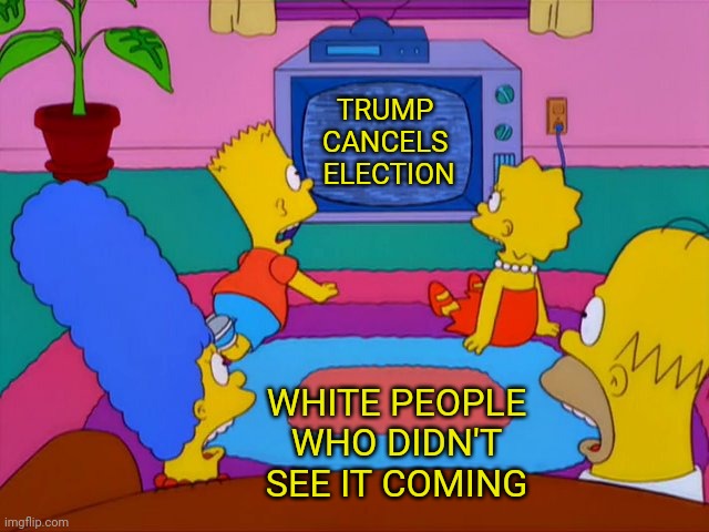 Trump cancels election | TRUMP 
CANCELS 
ELECTION; WHITE PEOPLE WHO DIDN'T SEE IT COMING | image tagged in trump,maga,fascism,election 2020,racism | made w/ Imgflip meme maker