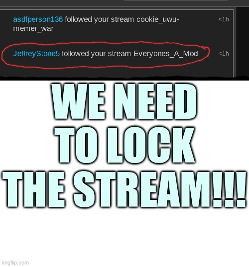 Please someone, lock it! | WE NEED TO LOCK THE STREAM!!! | image tagged in blank white template | made w/ Imgflip meme maker