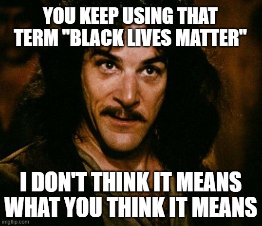 Inigo Montoya | YOU KEEP USING THAT TERM "BLACK LIVES MATTER"; I DON'T THINK IT MEANS WHAT YOU THINK IT MEANS | image tagged in memes,inigo montoya | made w/ Imgflip meme maker