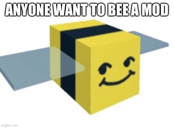 Comment if you do | ANYONE WANT TO BEE A MOD | image tagged in normal melon,see what i did there | made w/ Imgflip meme maker