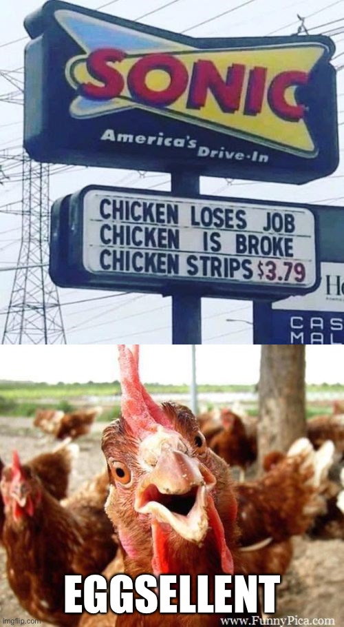 EGGSELLENT | image tagged in chicken,stupid signs,funny signs,bad puns,terrible puns,memes | made w/ Imgflip meme maker