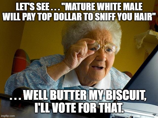 Grandma Finds The Internet Meme | LET'S SEE . . . "MATURE WHITE MALE WILL PAY TOP DOLLAR TO SNIFF YOU HAIR"; . . . WELL BUTTER MY BISCUIT, 
I'LL VOTE FOR THAT. | image tagged in memes,grandma finds the internet | made w/ Imgflip meme maker