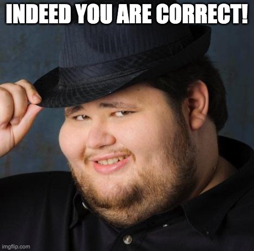 Fedora-guy | INDEED YOU ARE CORRECT! | image tagged in fedora-guy | made w/ Imgflip meme maker