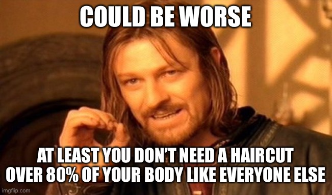 One Does Not Simply Meme | COULD BE WORSE AT LEAST YOU DON’T NEED A HAIRCUT OVER 80% OF YOUR BODY LIKE EVERYONE ELSE | image tagged in memes,one does not simply | made w/ Imgflip meme maker