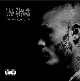 Life Of A Dark Rose Album Cover Lil Skies Blank Meme Template