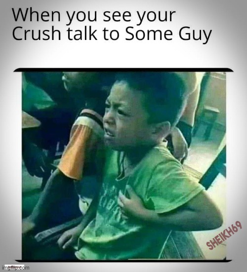 Crush talk to Some Guy | image tagged in crush talk to some guy | made w/ Imgflip meme maker