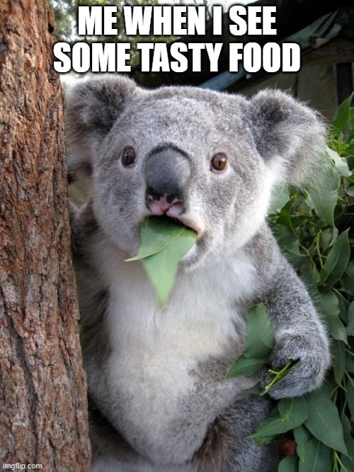 Surprised Koala | ME WHEN I SEE SOME TASTY FOOD | image tagged in memes,surprised koala | made w/ Imgflip meme maker