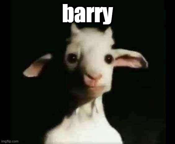 barry |  barry | image tagged in barry | made w/ Imgflip meme maker