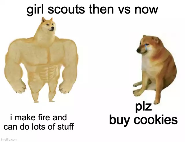 Buff Doge vs. Cheems | girl scouts then vs now; plz buy cookies; i make fire and can do lots of stuff | image tagged in buff doge vs cheems | made w/ Imgflip meme maker
