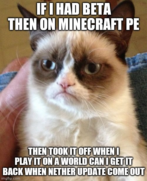 Quick question | IF I HAD BETA THEN ON MINECRAFT PE; THEN TOOK IT OFF WHEN I PLAY IT ON A WORLD CAN I GET IT BACK WHEN NETHER UPDATE COME OUT | image tagged in memes,grumpy cat | made w/ Imgflip meme maker