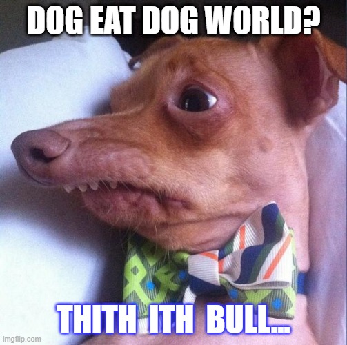 Can't bite the hand... |  DOG EAT DOG WORLD? THITH  ITH  BULL... | image tagged in tuna the dog phteven | made w/ Imgflip meme maker
