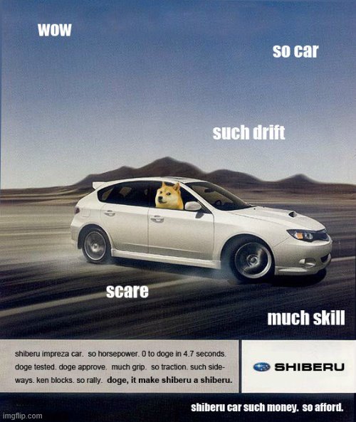 wow such car | image tagged in wow such drift doge | made w/ Imgflip meme maker