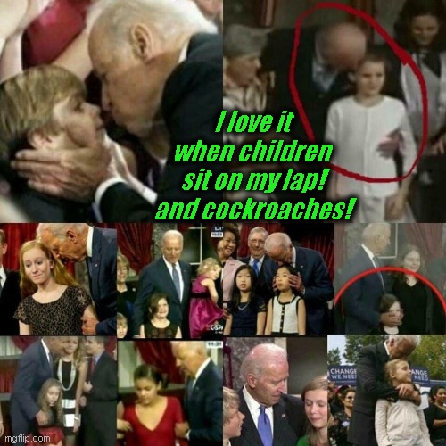 Joe Biden Pedophile! | I love it when children sit on my lap! and cockroaches! | image tagged in joe biden pedophile | made w/ Imgflip meme maker