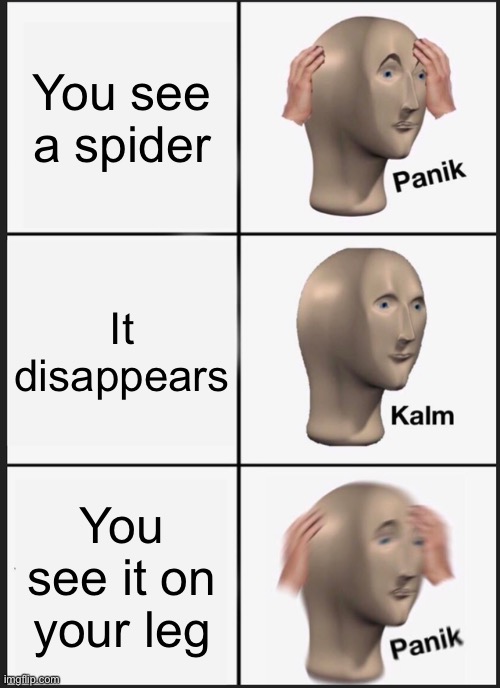 PANIK | You see a spider; It disappears; You see it on your leg | image tagged in memes,panik kalm panik,funny,coronavirus | made w/ Imgflip meme maker