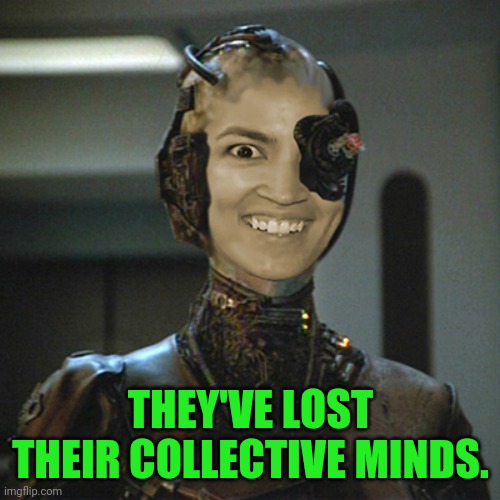 THEY'VE LOST THEIR COLLECTIVE MINDS. | made w/ Imgflip meme maker